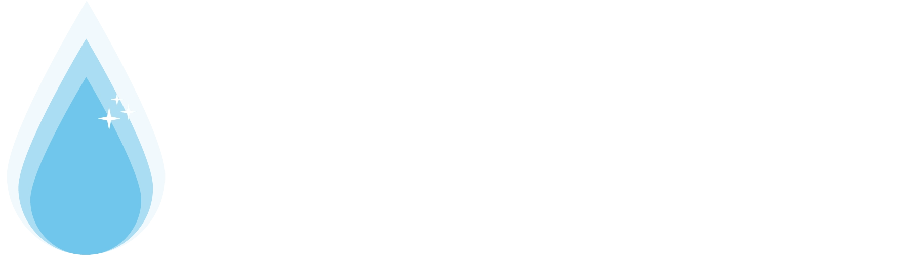 The Clean Co. Logo Light